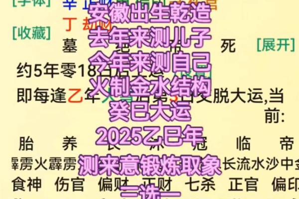 八字取象法 第13集 如何用八字取象