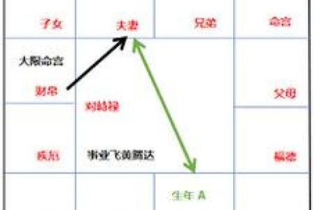 紫薇斗数中官禄