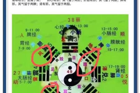 紫薇斗数子斗戌