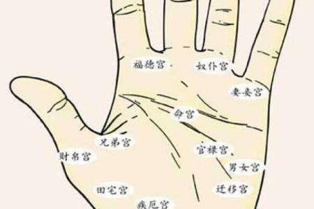 女性手掌纹算命图解婚姻