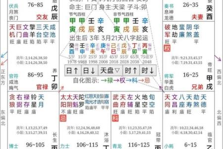 紫薇斗数事业运