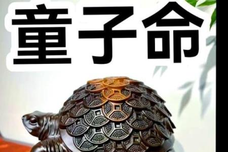 生辰八字查童子命，真假童子命的区别