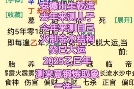 八字取象法 第13集 如何用八字取象