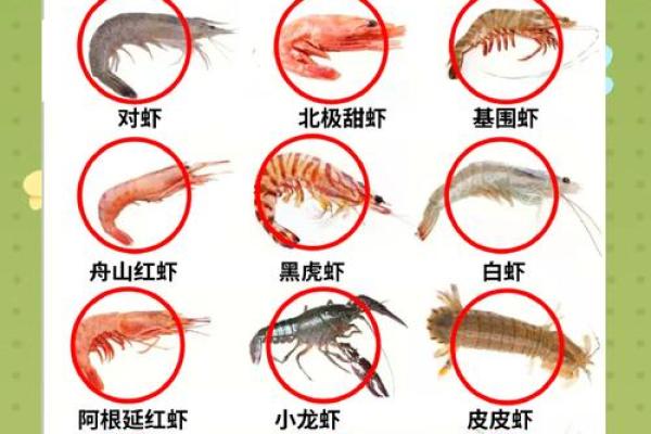 风水招财_养虾招财么