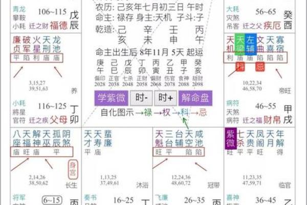 紫微斗数诸星落命宫之:生年博士十二神详解 紫微斗数诸星落命宫之:生年博士十二神详解