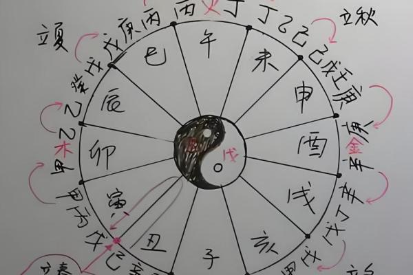 八字十二地支详解