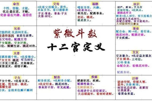 【紫微斗数】排盘技巧037：紫微斗数的国际交流