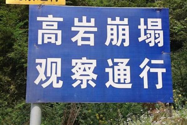 野狗山算命