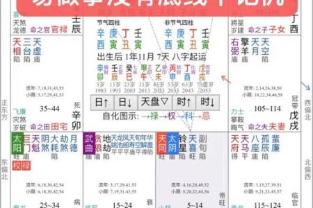 紫薇斗数运疾