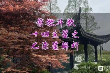 紫微斗数之诸星值限年运气推断：七杀星之年
