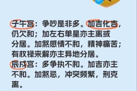 一分钟学会紫微斗数——夫妻给我带来的福气#国学文化