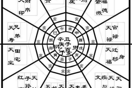 紫薇斗数算读书