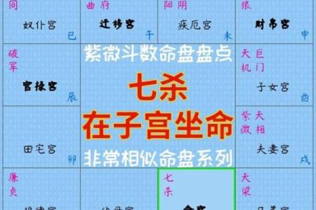 紫薇斗数子女宫在子