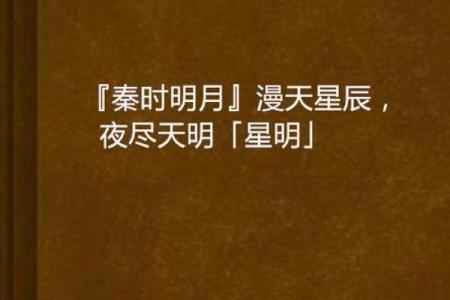 紫薇星明什么意思
