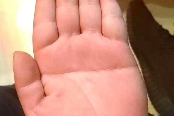 风水断掌的男人的命好不好