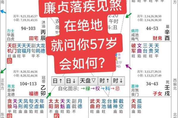 紫薇斗数准