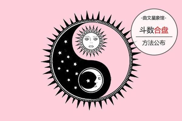 紫微斗数在线合盘 紫微斗数合盘怎么看？