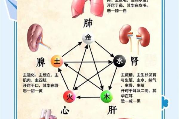 八字与命理关系大吗学生
