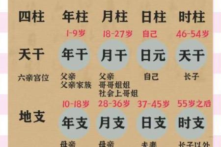 四柱八字查询,八字命排盘免费