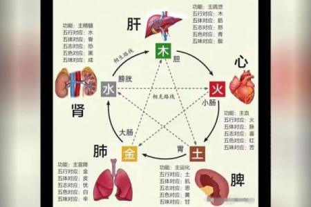 面相算命入门：五色