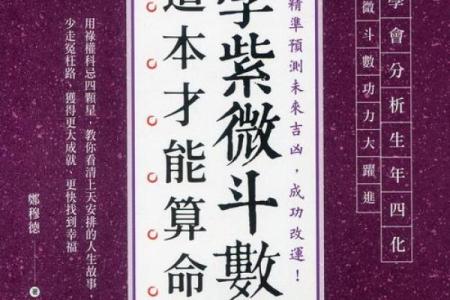 紫薇斗阿数