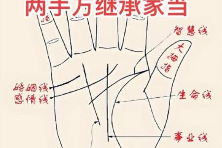 凯帝阿手相算命图解大全01