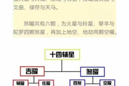 紫薇斗数文曲