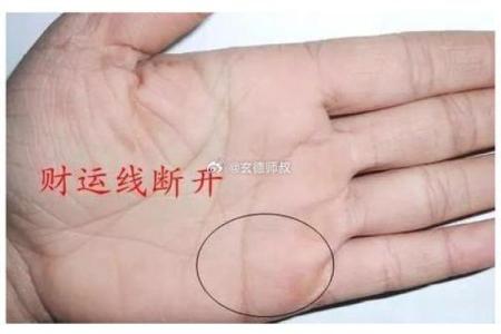 八字算命术和手相面相哪个更准确