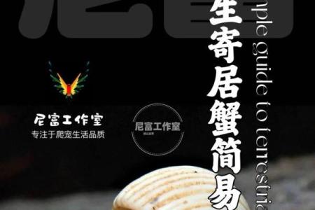 寄居蟹风水