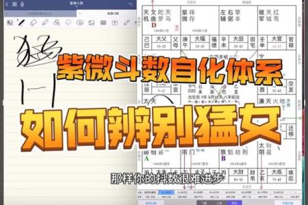 紫薇斗数胡老师