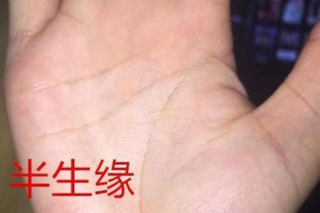就属于成功的婚姻十二财禄查询表算命