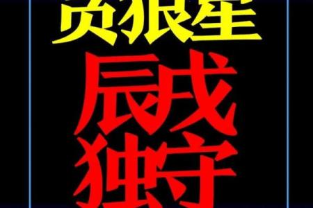 手机免费算命不求人