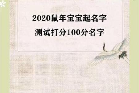 姓名打分免费测试