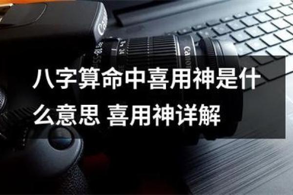 八字喜用神是什么意思