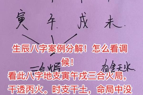 生辰八字丙辛合化水