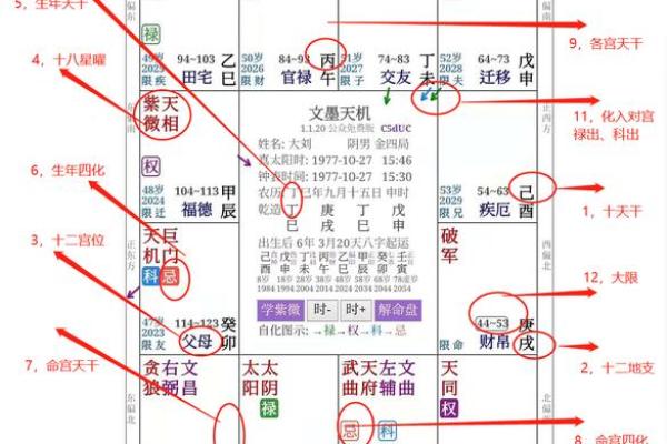 紫薇斗数飞星排盘