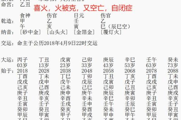 八字巳巳亥