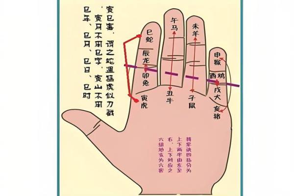 生辰八字如何算命运的