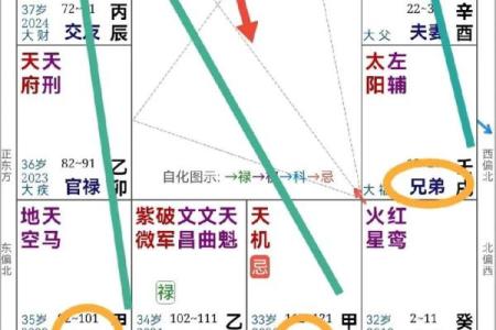 紫薇斗数父母职业