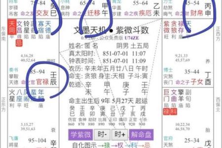 毛紫薇斗数