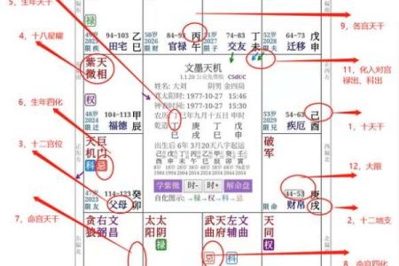 紫薇斗数飞星排盘