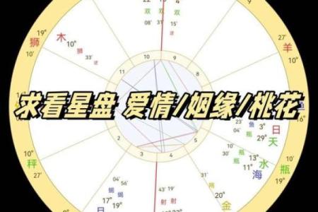 如何分析星盘姻缘