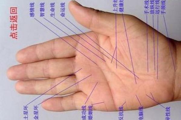 男人左手手纹算命图解 男人左手手相