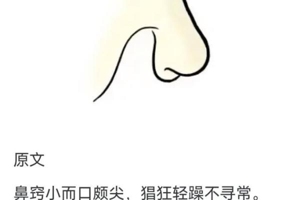 看鼻子面相算命大全