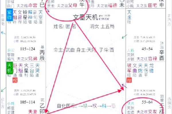 紫薇斗数怎么财运