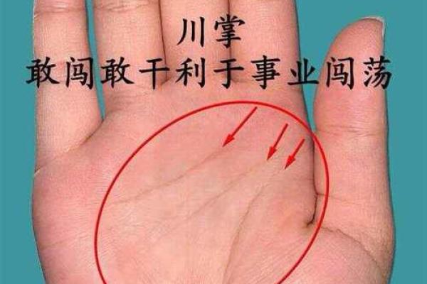 凯帝阿手相算命图解大全06