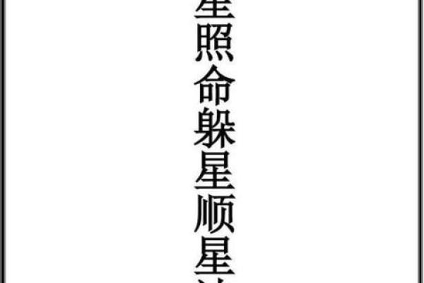九星命理算命视频