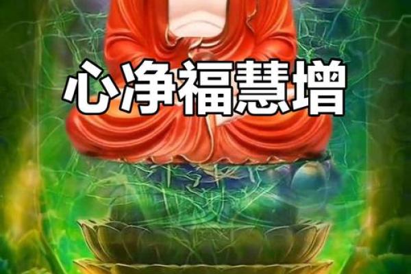 世间最好的风水：家净、人净、心净，福报自来！