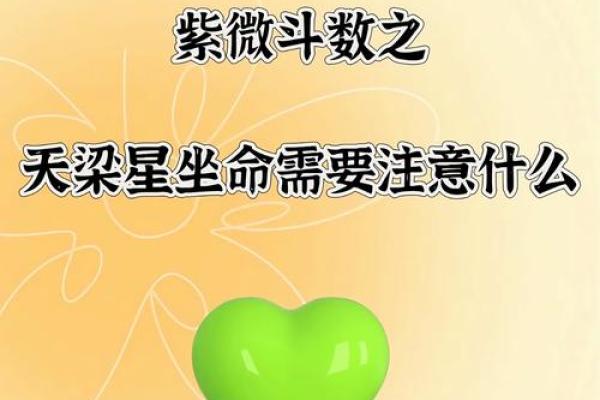 紫薇斗数命宫天梁