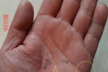 男人左手手纹算命图解 男人左手手相